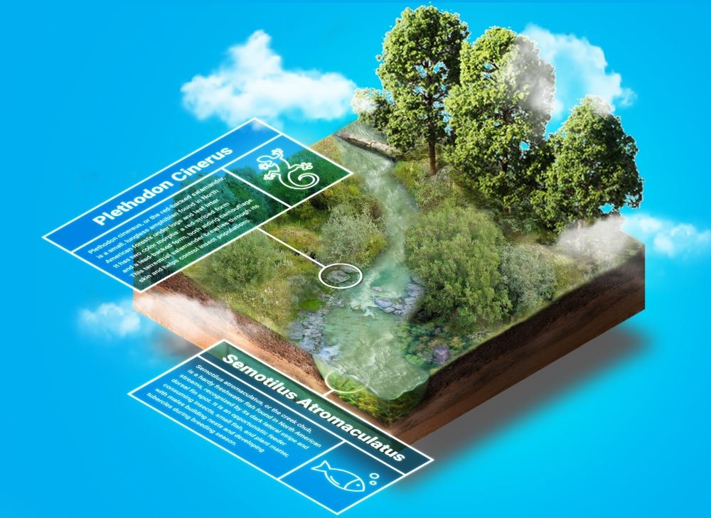 Stream Solutions