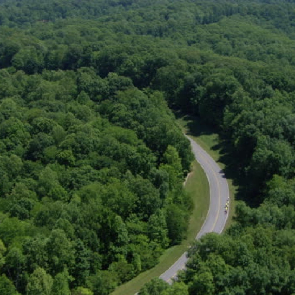 Natchez Trace